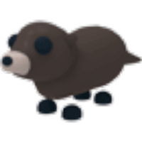 Pet  StarFish Adopt Me - Game Items - Gameflip